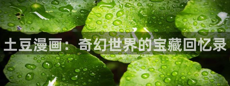 羞羞漫画成人网