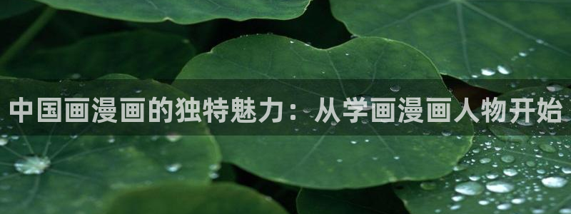 云缨被啪羞羞漫画全免