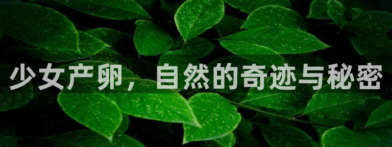 羞羞漫画登录页面免费漫画