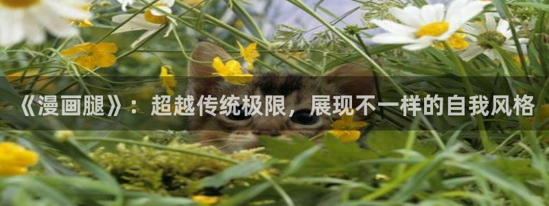 羞羞漫画,漫画：《漫画腿》：超越传统极限，展现不一样的自我风格