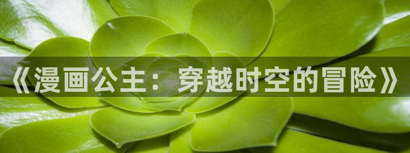 羞羞漫画网站在线观看入口