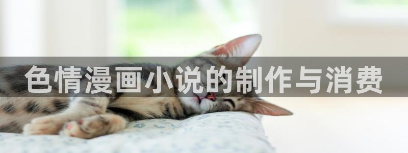 h羞羞漫画