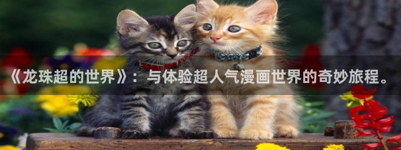 羞羞漫画无限金币