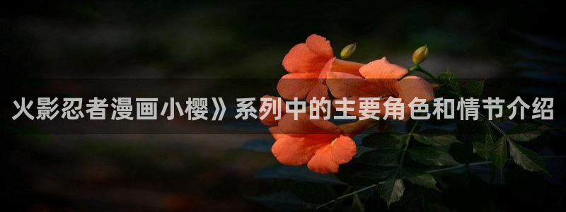 黄羞羞漫画：火影忍者漫画小樱》系列中的主要角色和情节介绍