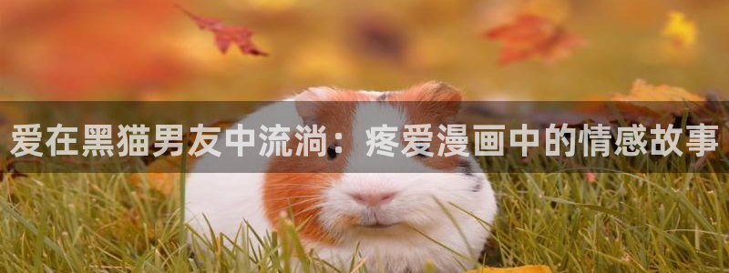 羞羞漫画官网下载